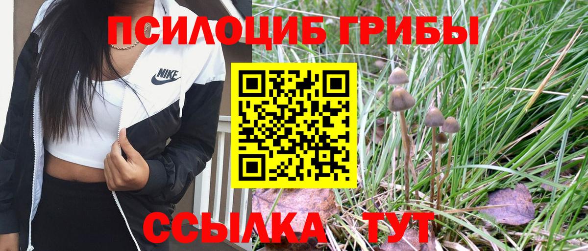 Галлюциногенные грибы Magic Shrooms Кувандык