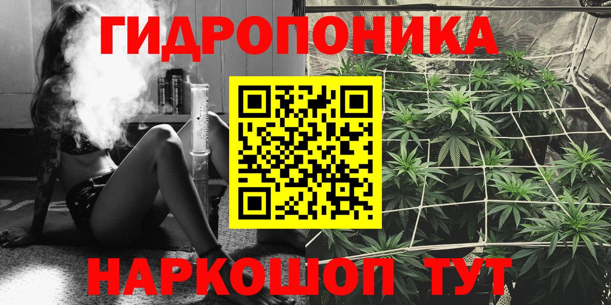 Кувандык  Бошки Шишки планчик  Конопля ГИДРОПОН  Каннабис конопля  Вход с VPN  Бошки Шишки VHQ 